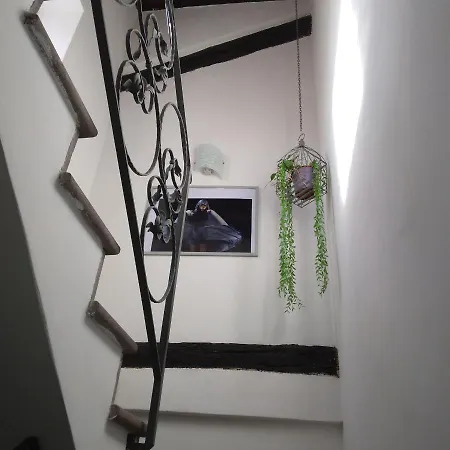 A Casa Di Grazia Apartment *